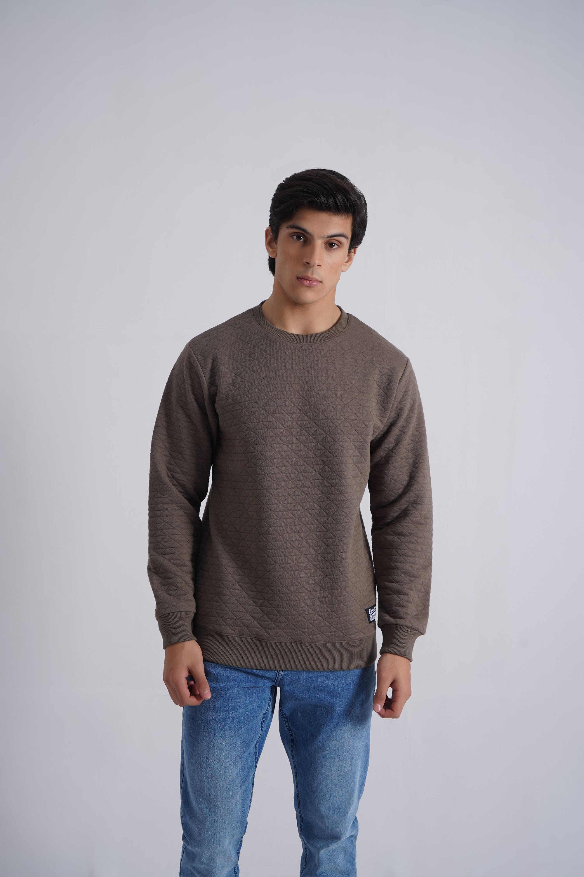 Brown Basic Quilted Sweatshirt