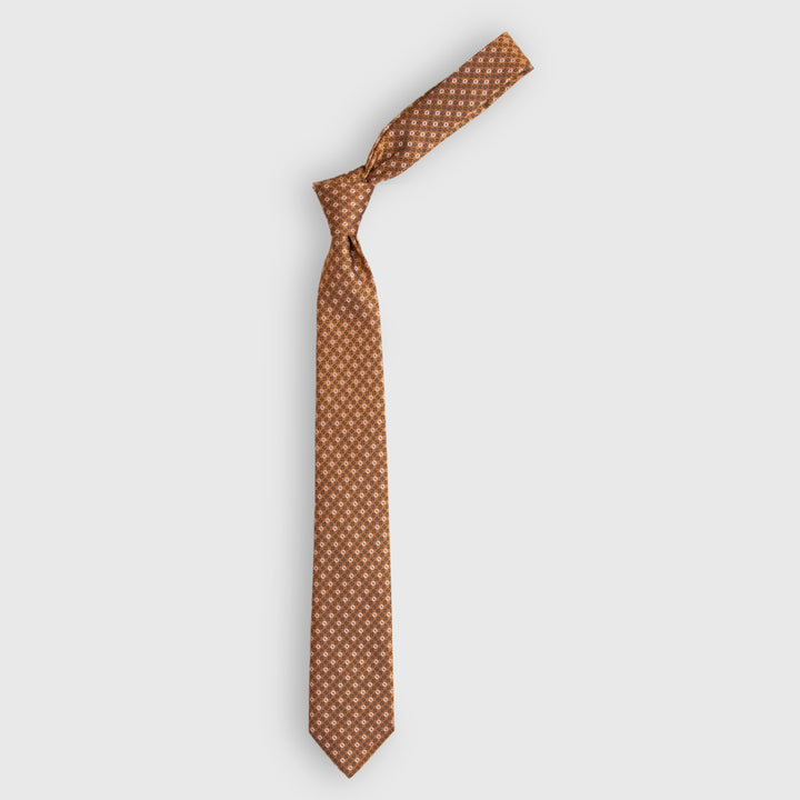 Brown Printed Tie Equator